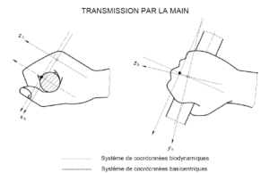 schéma de transmission main bras